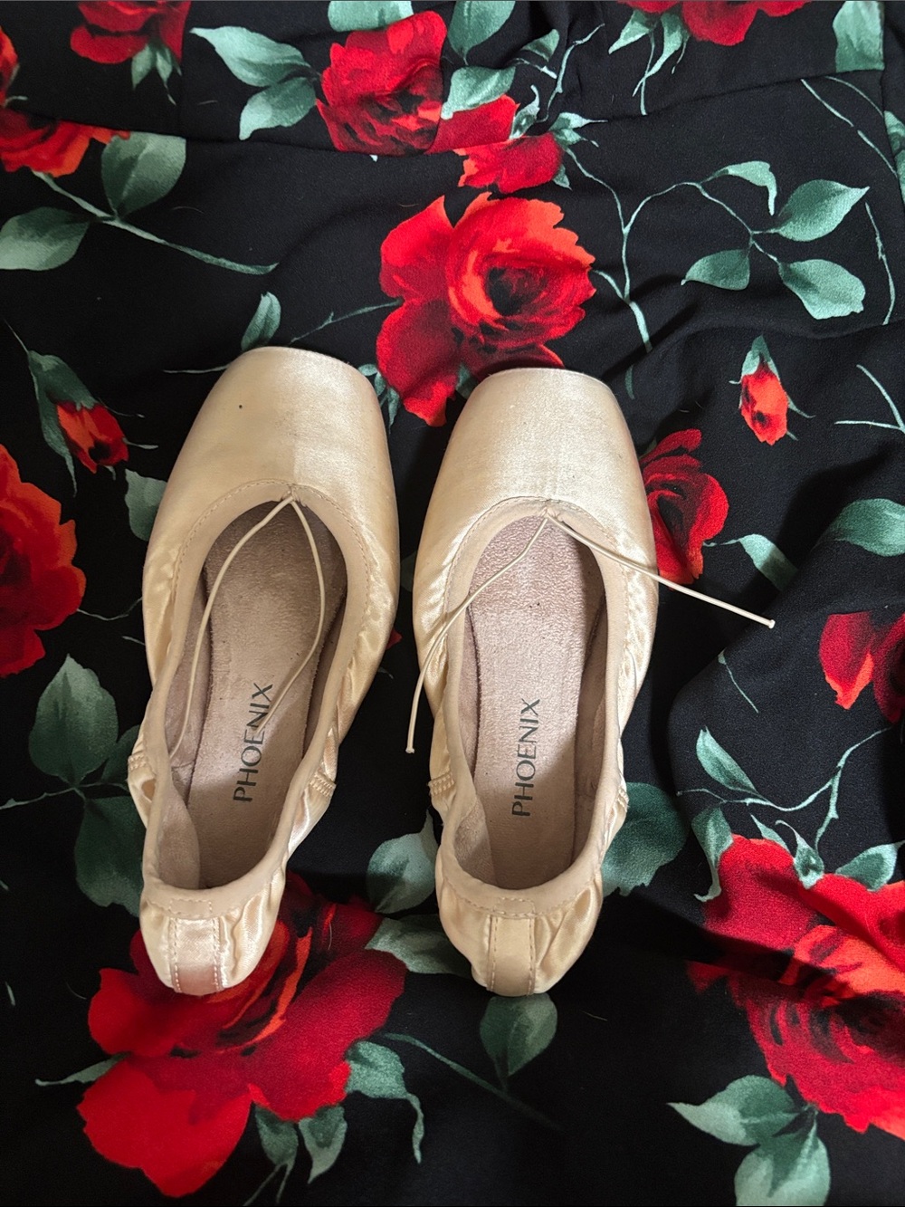 Phenix Women's Ballet Flats in Light Champagne